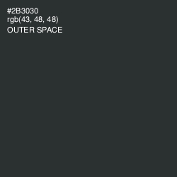 #2B3030 - Outer Space Color Image